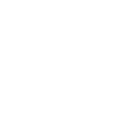 www.customs.gov.ua