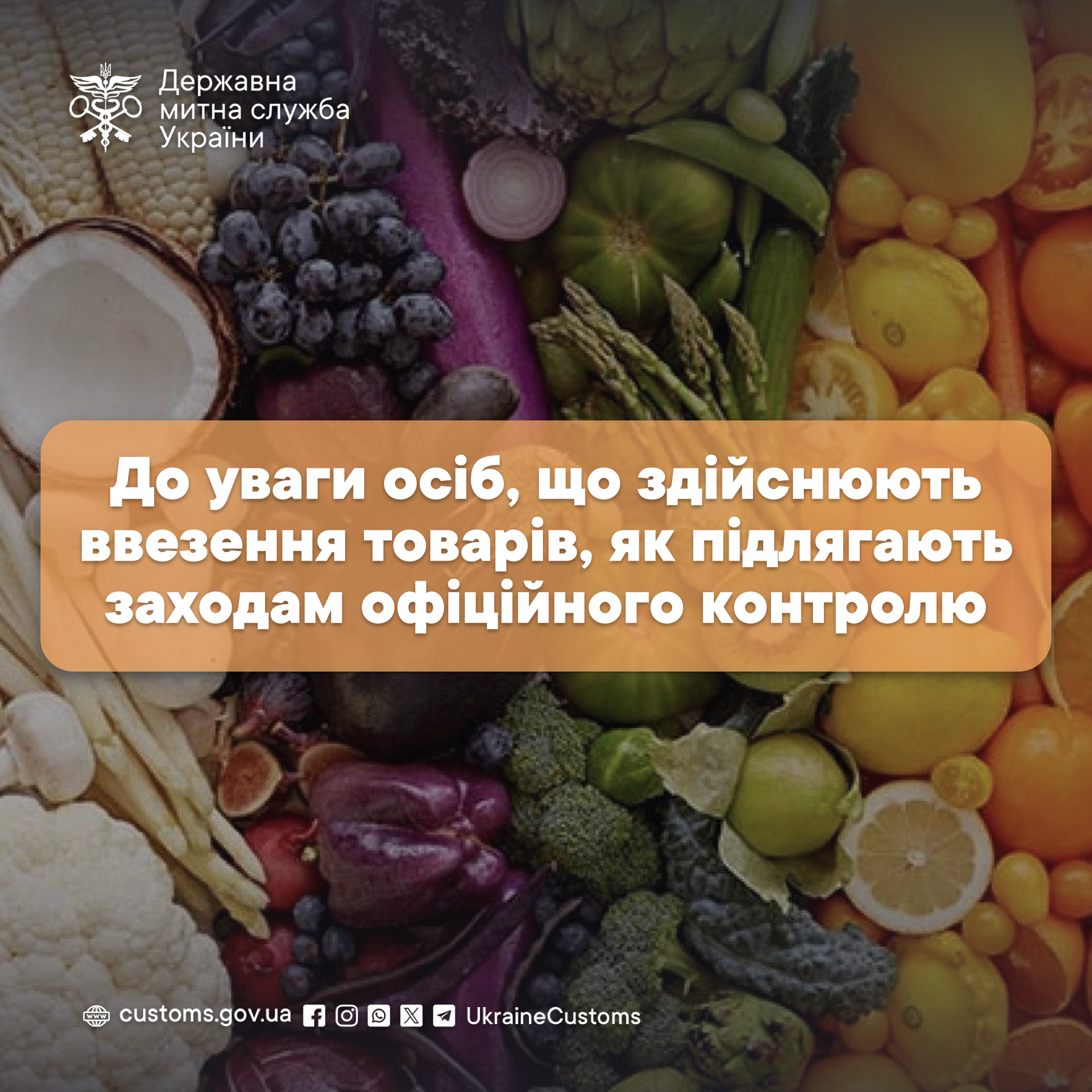 Odoo • Зображення та текст