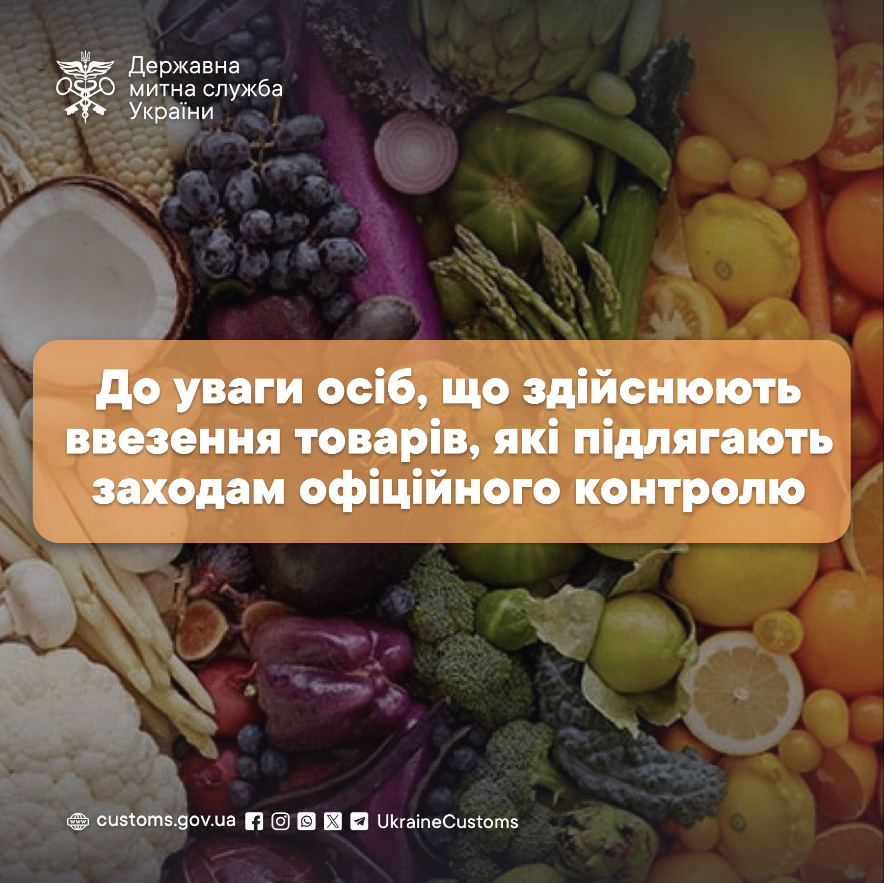 Odoo • Зображення та текст