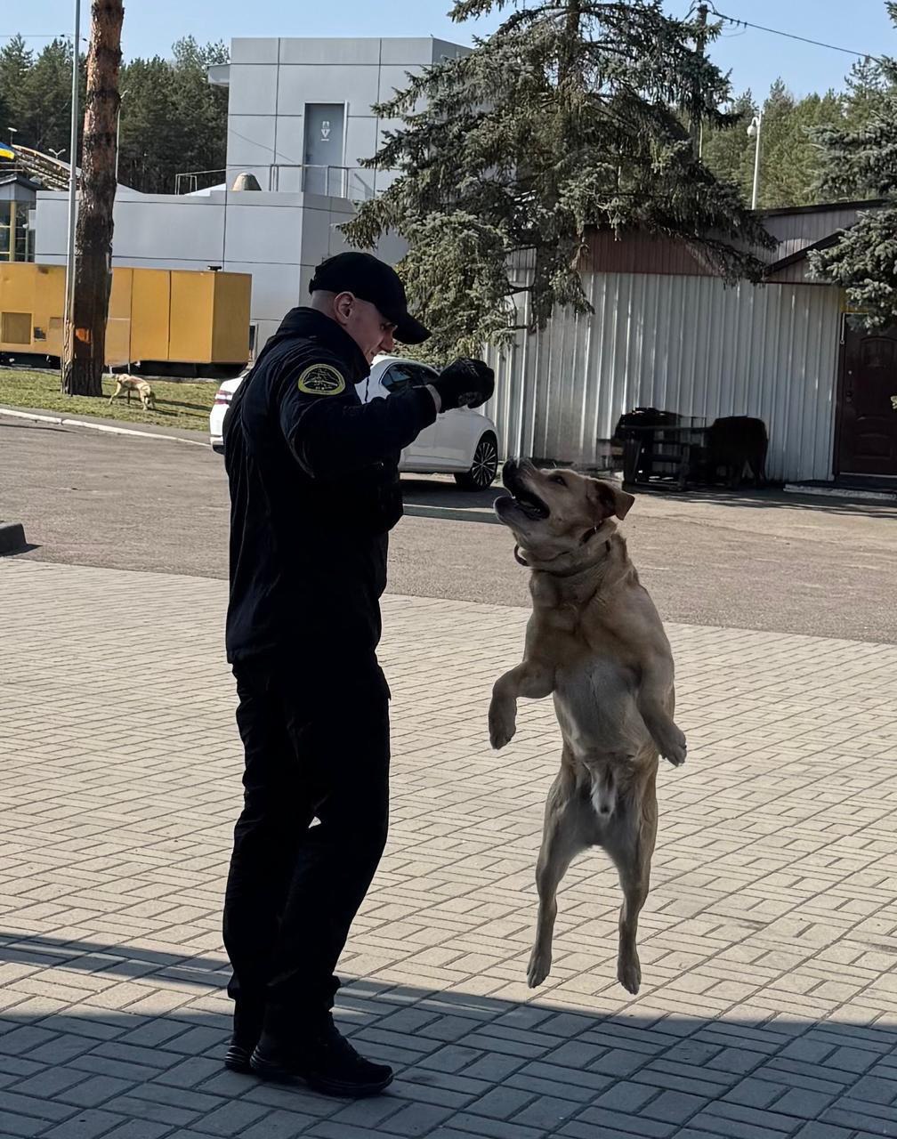 Зображення слайду
