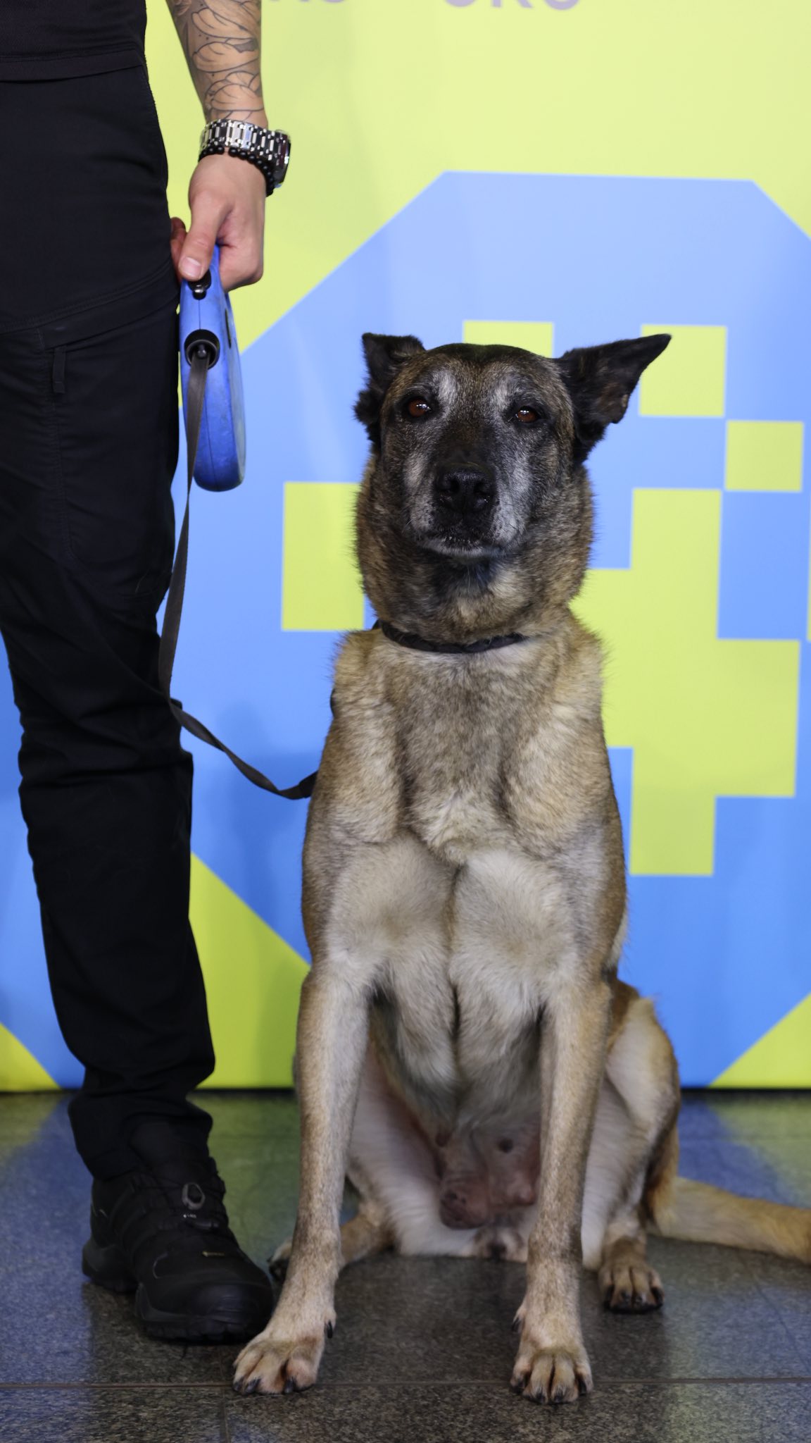 Зображення слайду