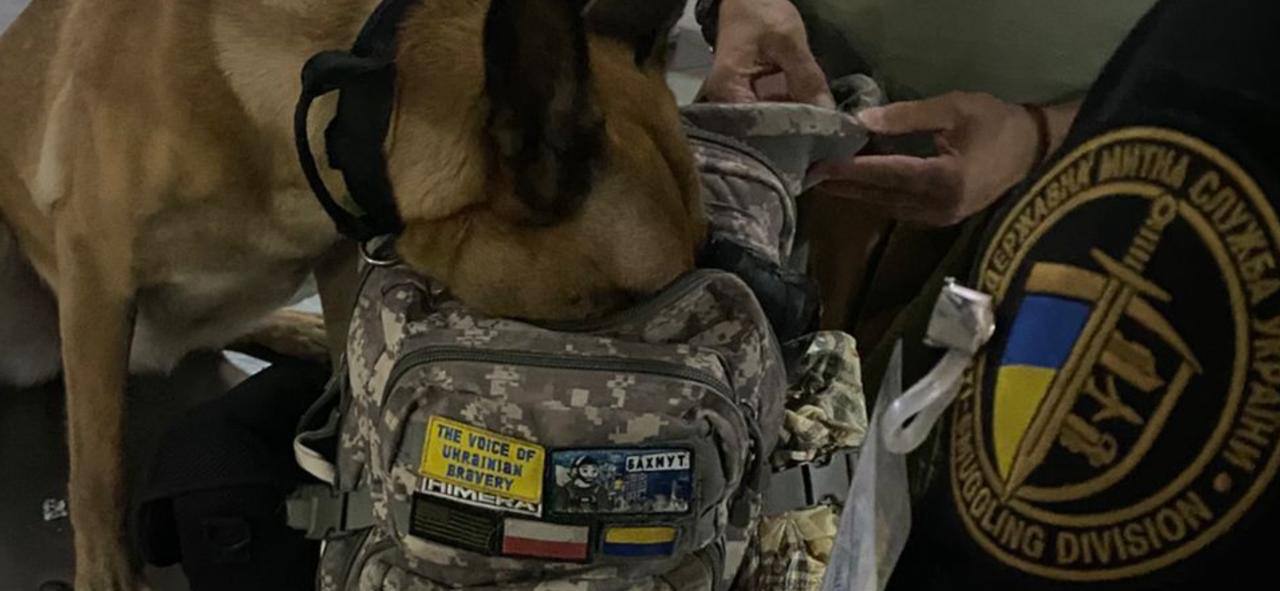 Зображення слайду