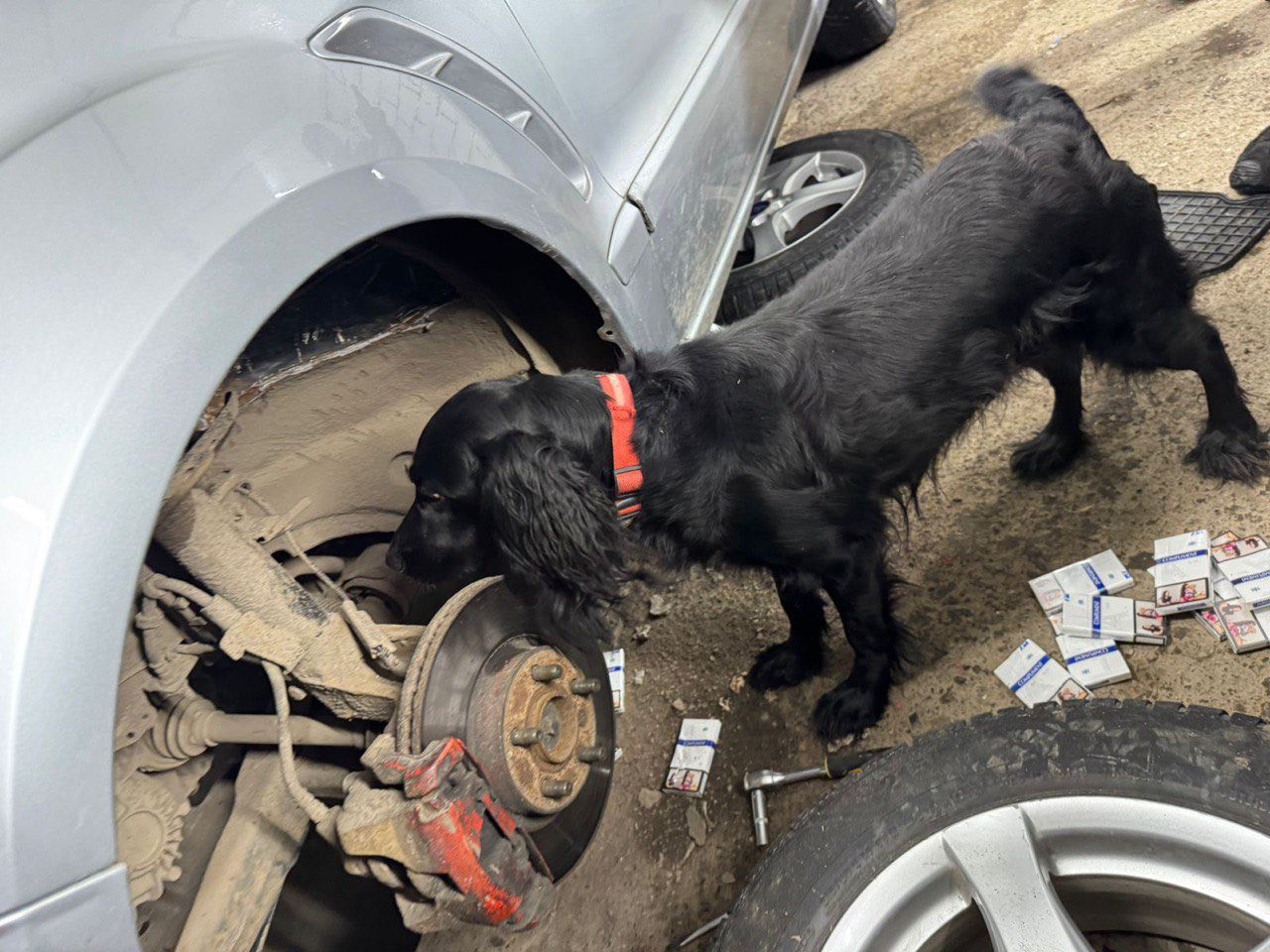 Зображення слайду