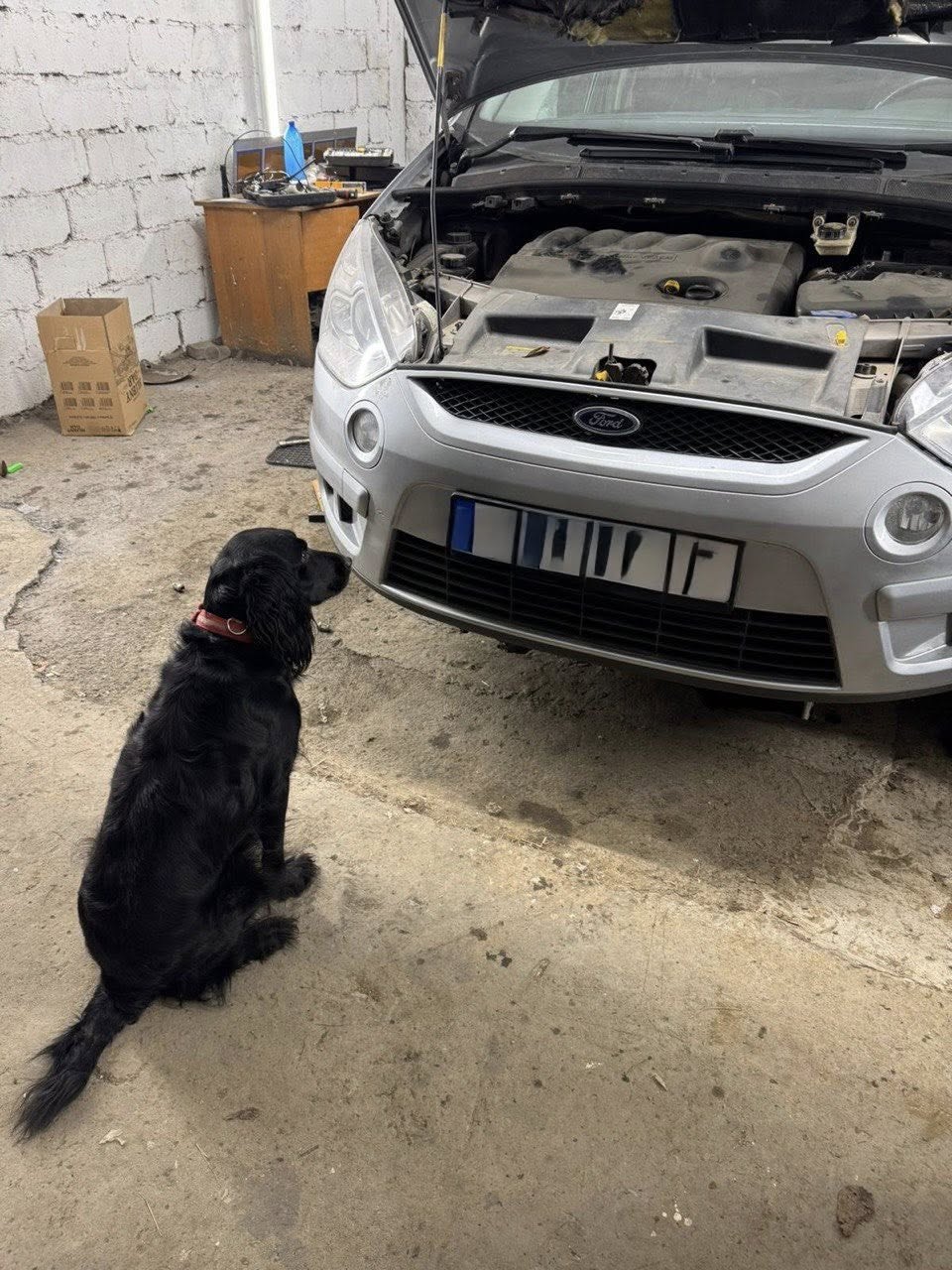 Зображення слайду