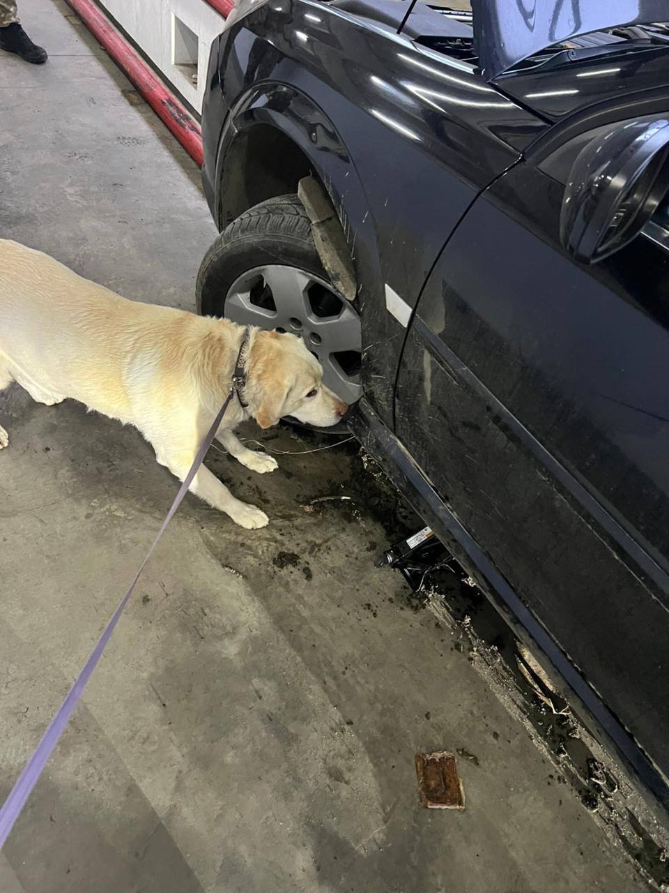 Зображення слайду