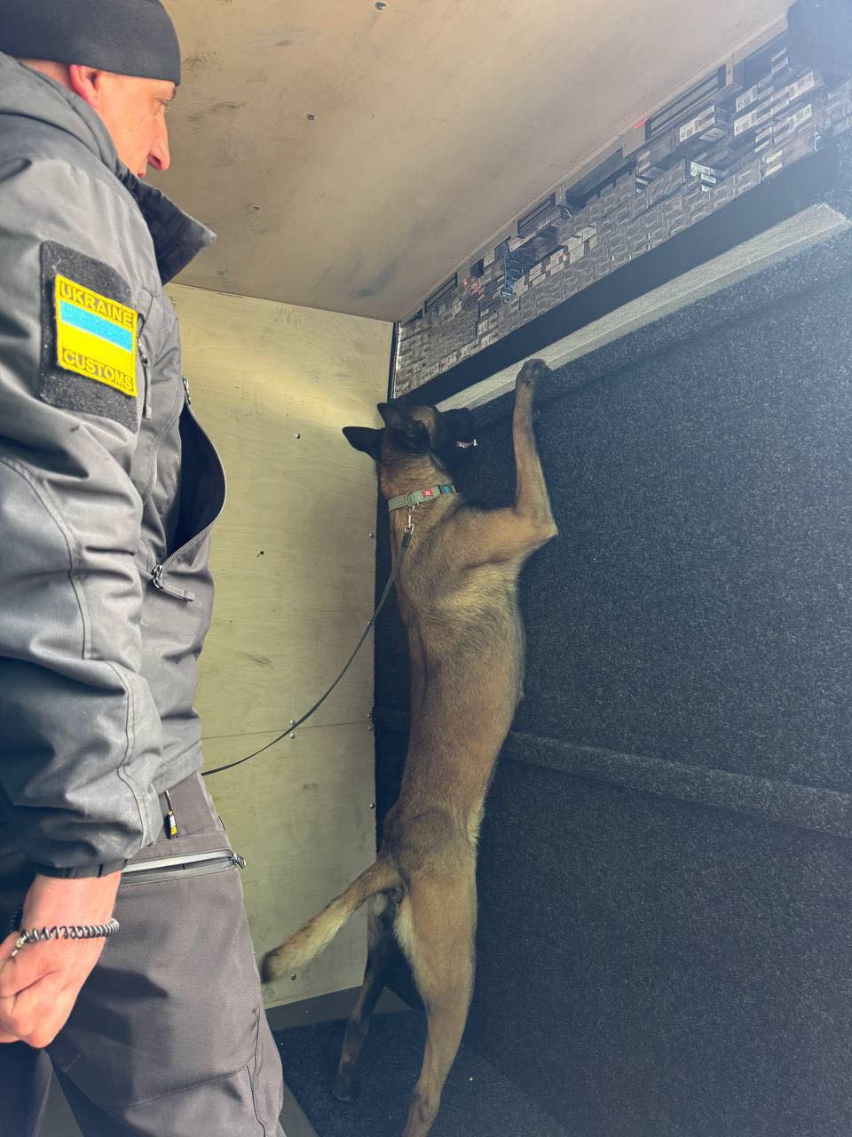 Зображення слайду