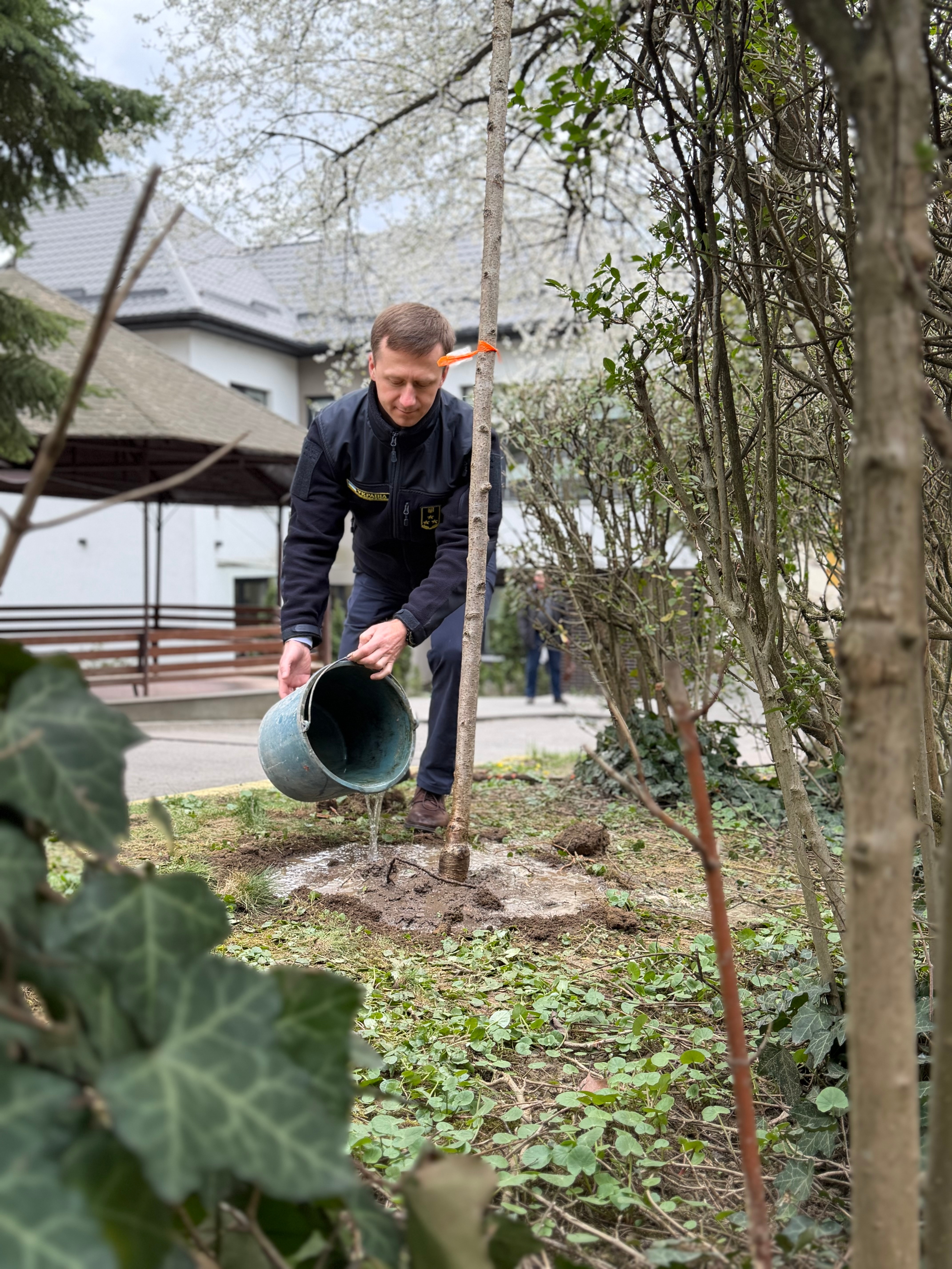 Зображення слайду