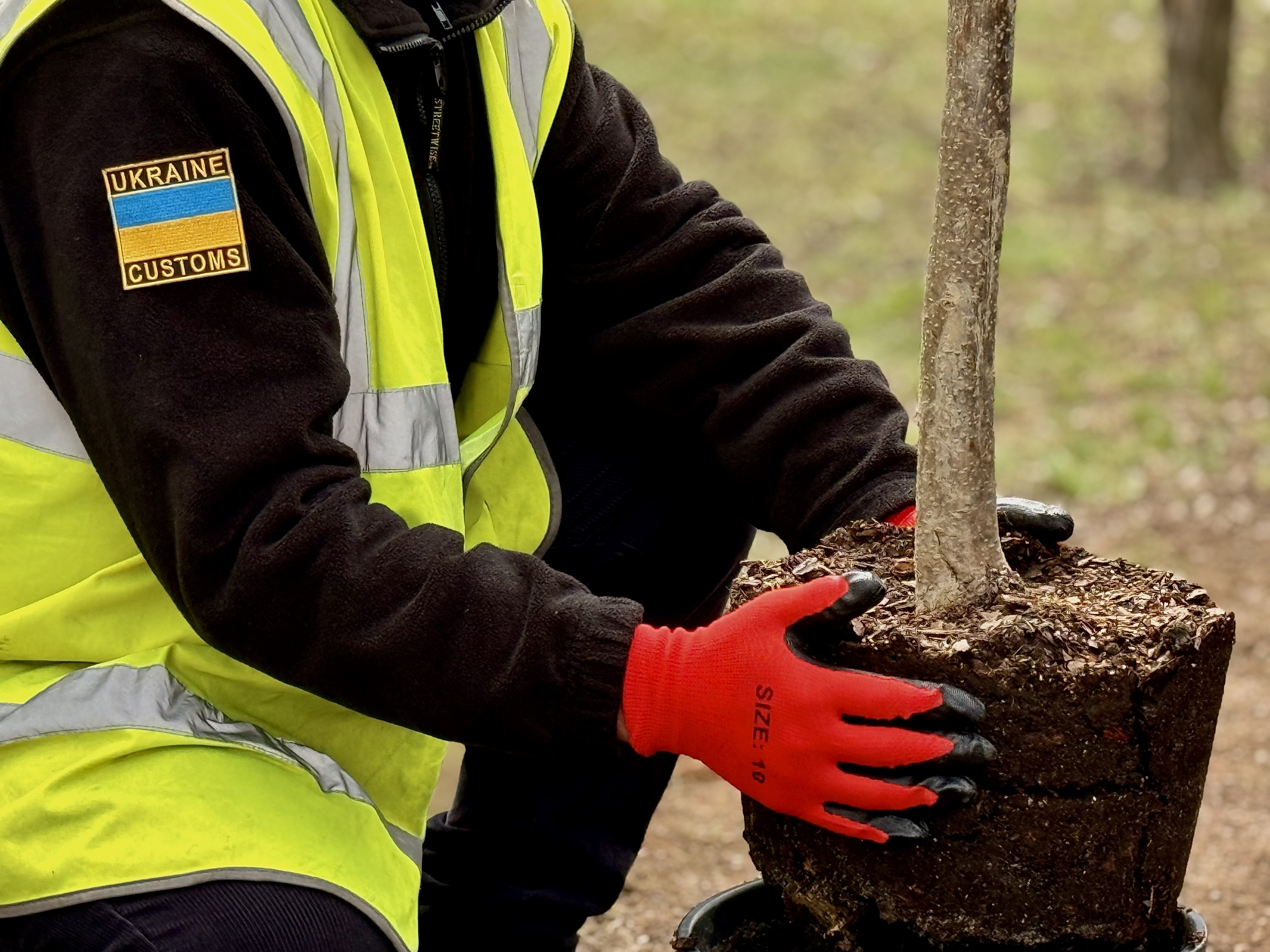 Зображення слайду