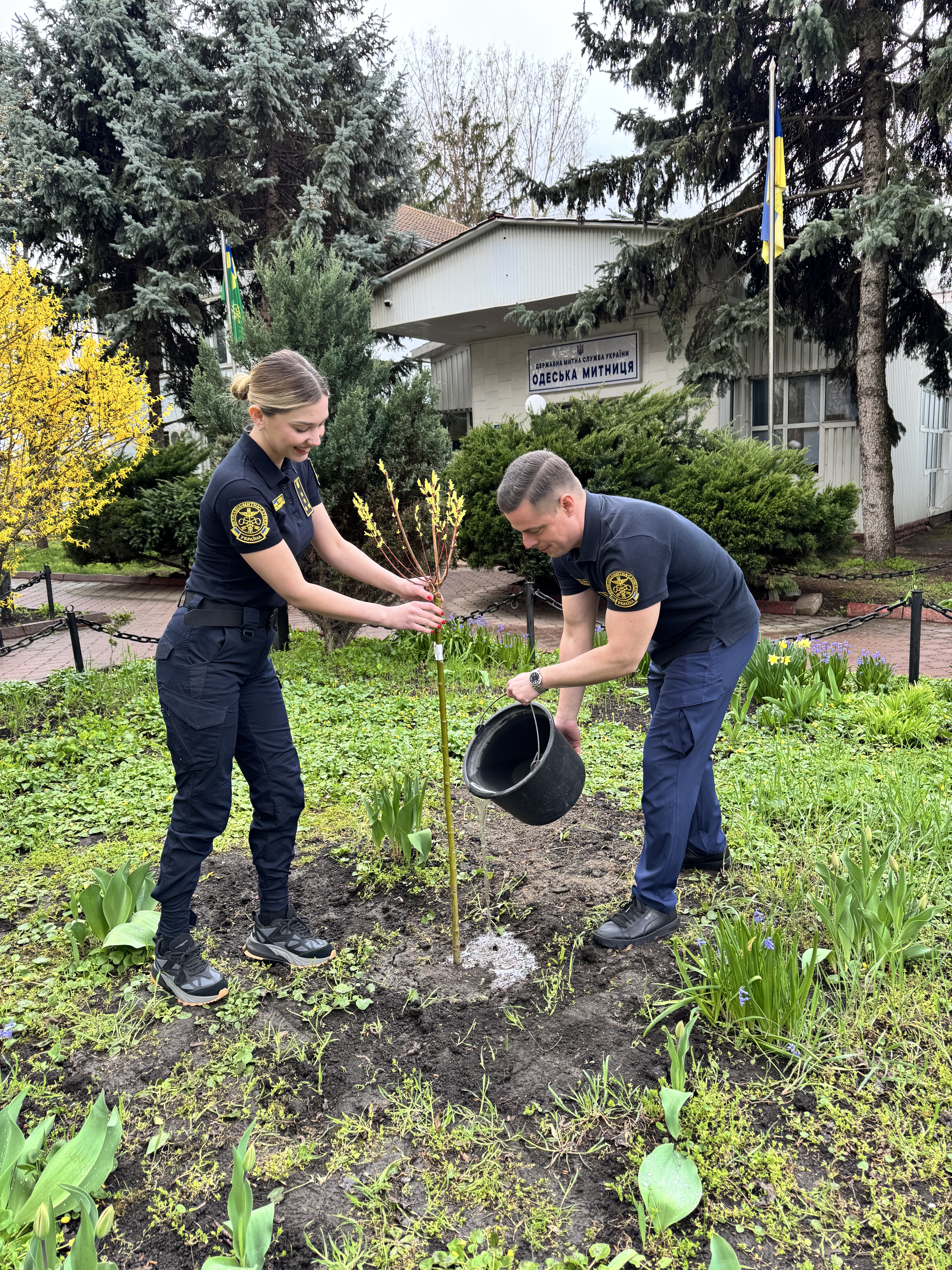 Зображення слайду