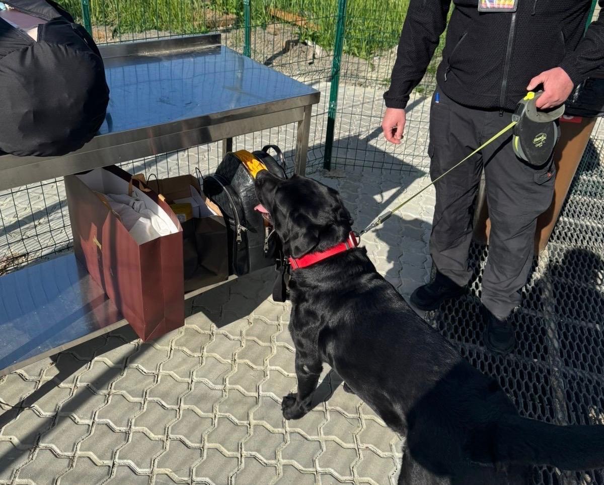 Зображення слайду