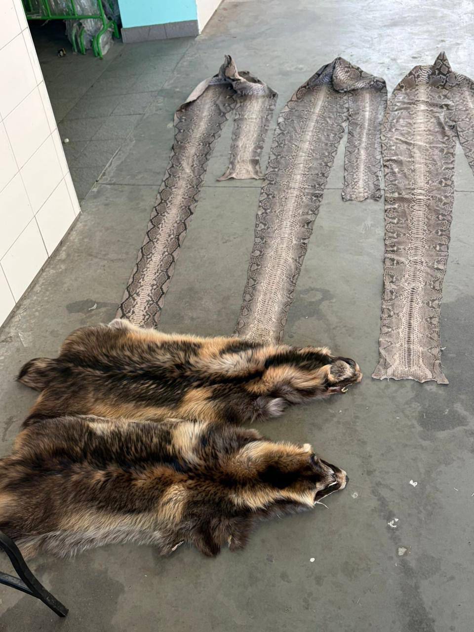Зображення слайду