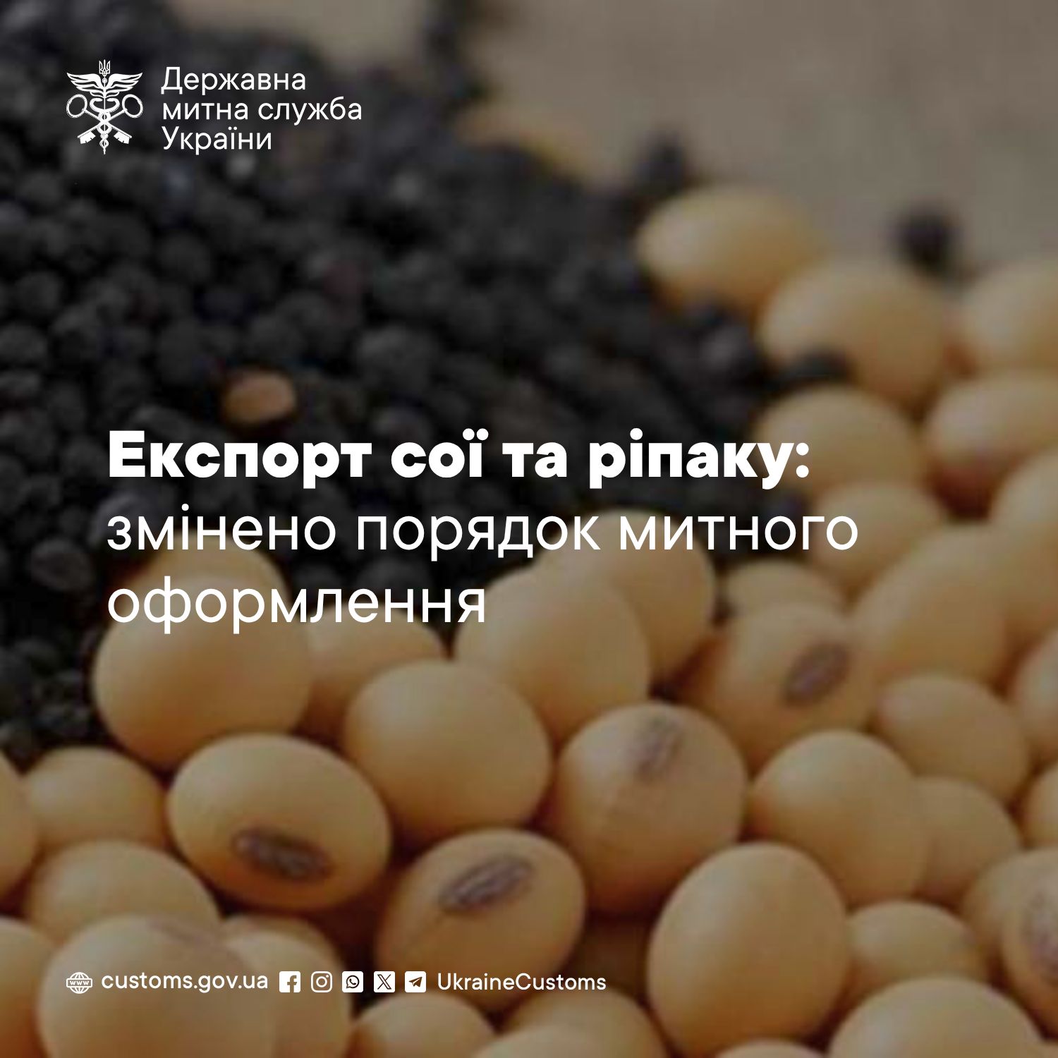 Odoo • Зображення та текст