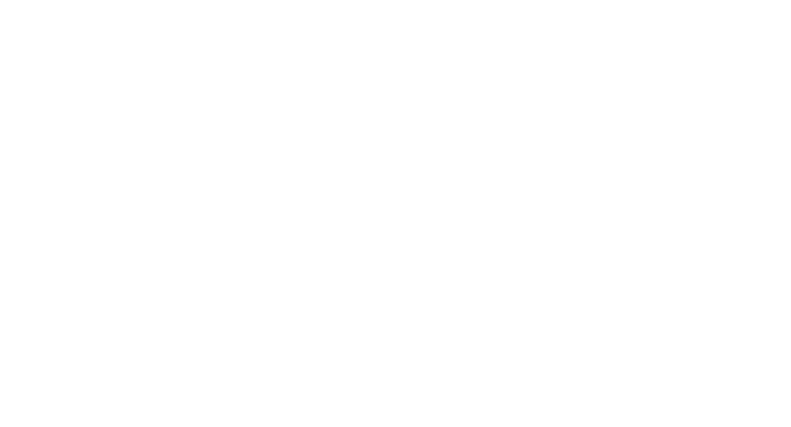 Державна Митна Служба